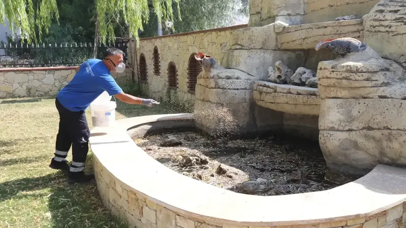 Sinek, hamam böceği, fare...İzmir'de seferberlik başladı