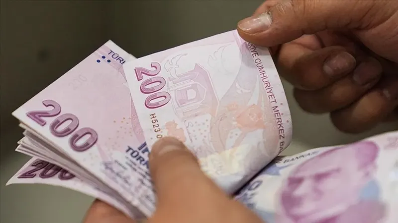 Sosyal ve Ekonomik Destek ödemeleri hesaplara yattı