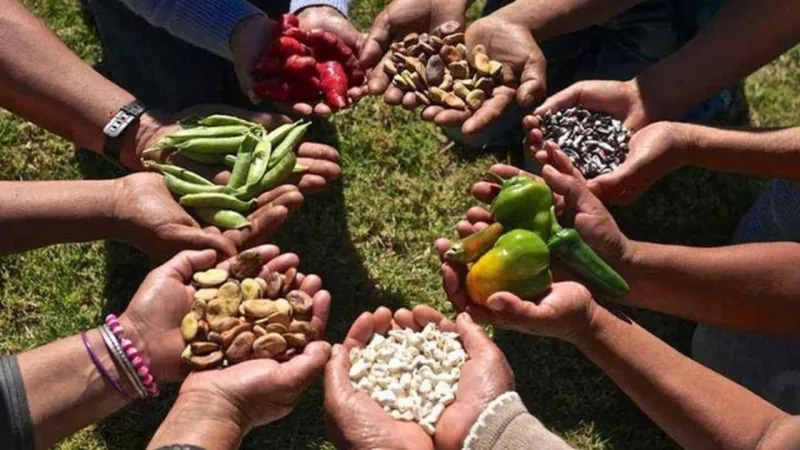 ‘Süper izin’ halli gıda hakkı gaspı