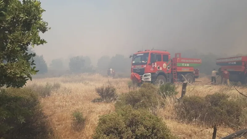 Tarım arazisinde korkutan yangın: Ekipler seferber oldu