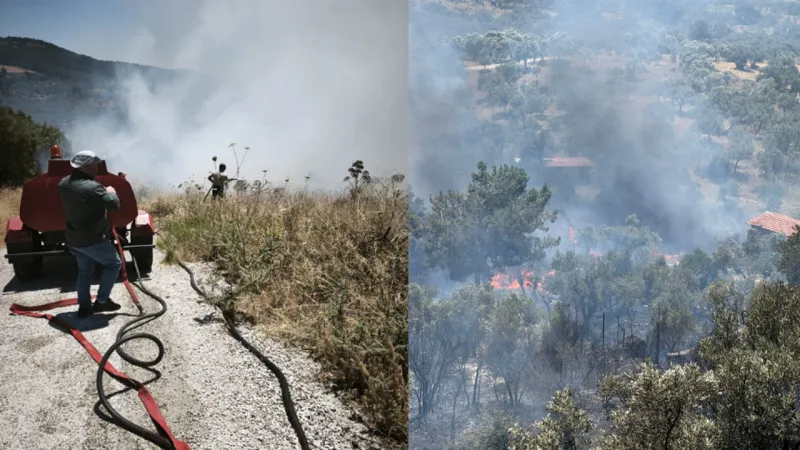 Torbalı, Kınık, Menderes... İzmir'deki yangınlarda son durum ne?