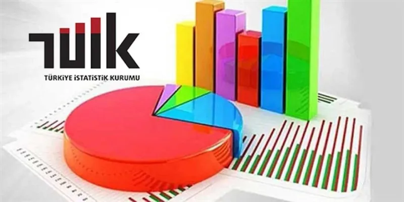 TÜİK'ten şaşırtan 2024 verisi!