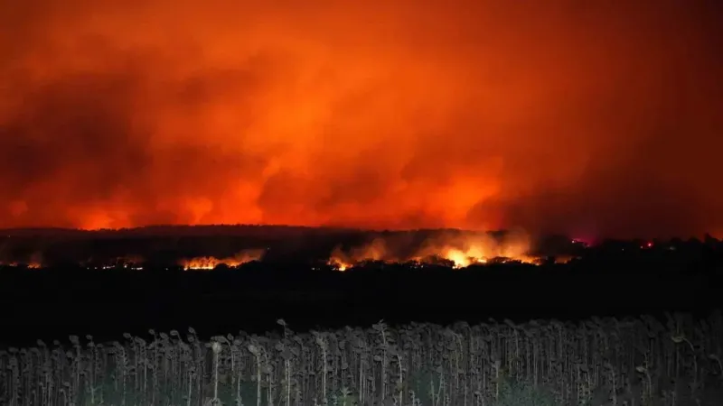 Valilik açıkladı: Yangının bilançosu belli oldu