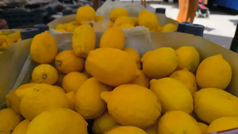 Vatandaş isyanda: Limonun tanesi 27 lira