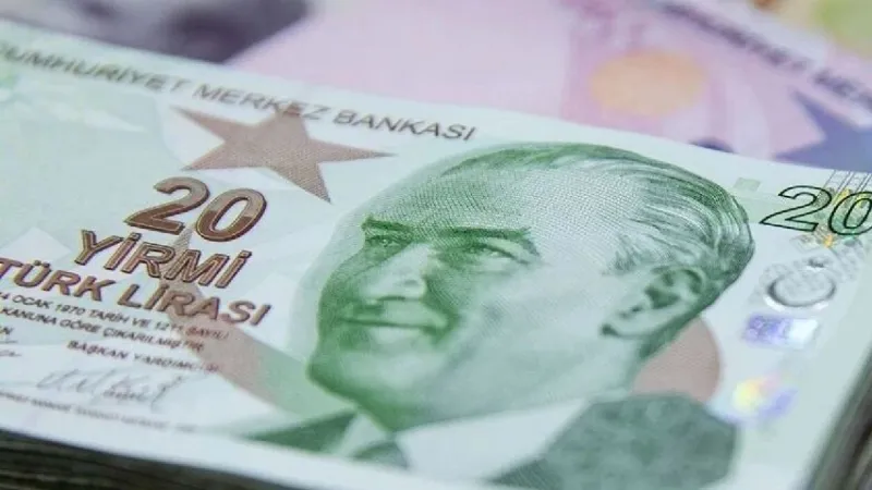 Yeni 20 liralık banknotlar bugün tedavüle giriyor: İşte değişiklikler
