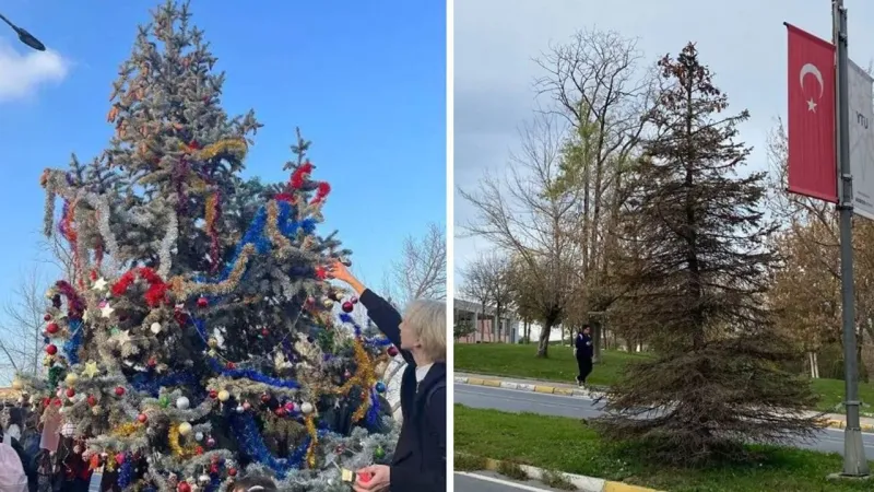 Yılbaşı ağacına kezzaplı saldırı iddiası