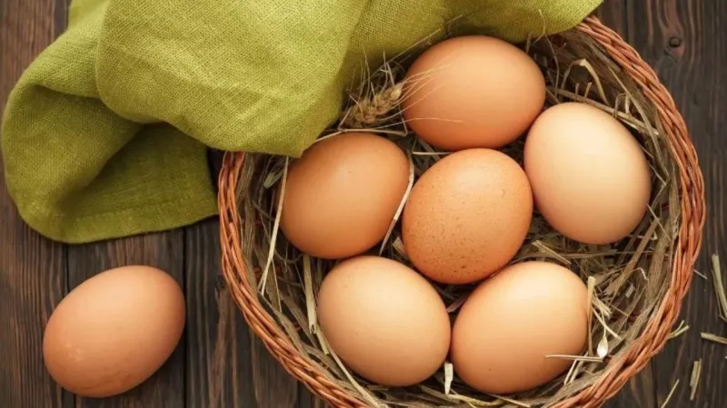 Yumurta Saklarken Aman Dikkat! İşte Bilmeniz Gerekenler